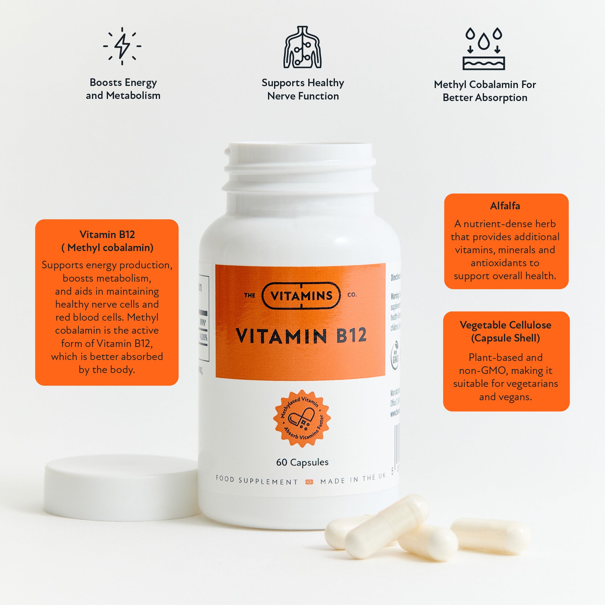 Supplement facts label for Vitamin B12 by The Vitamins Co