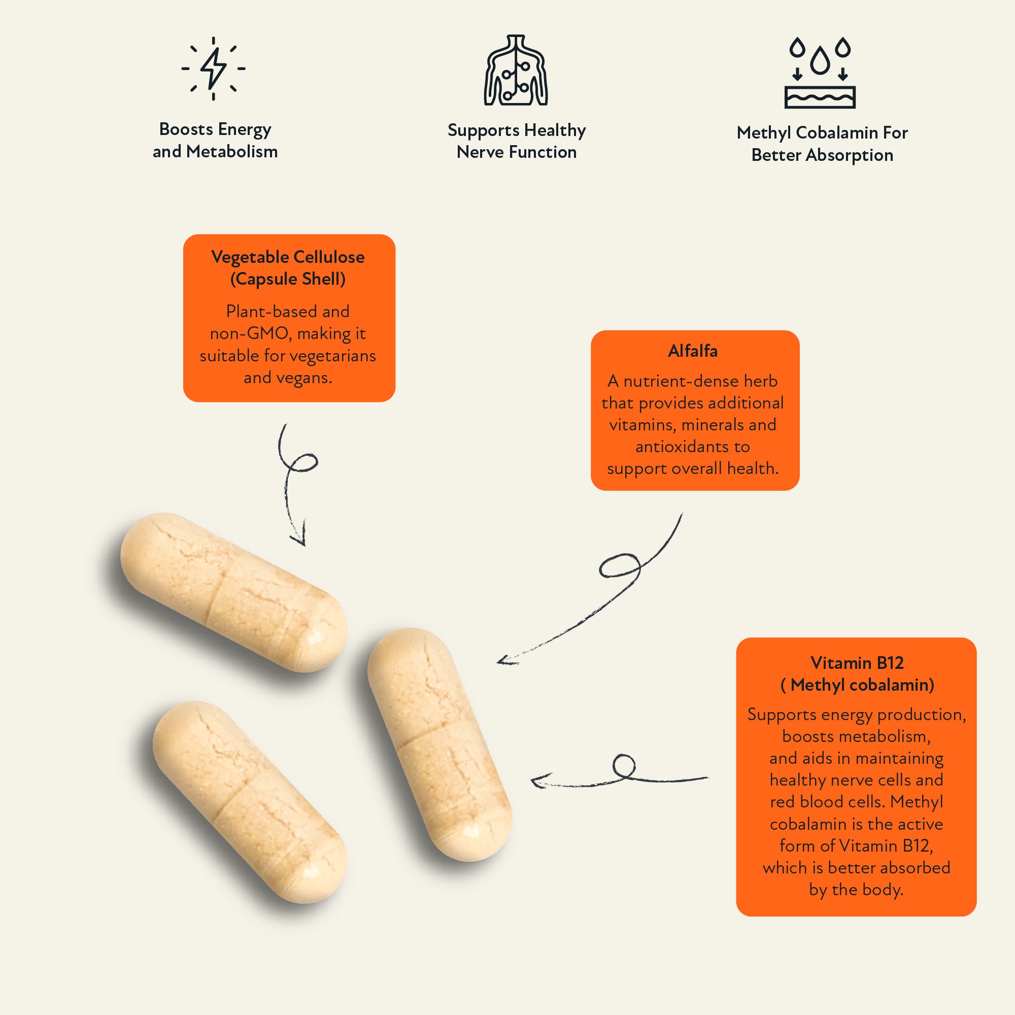 Supplement facts label for Vitamin B12 by The Vitamins Co