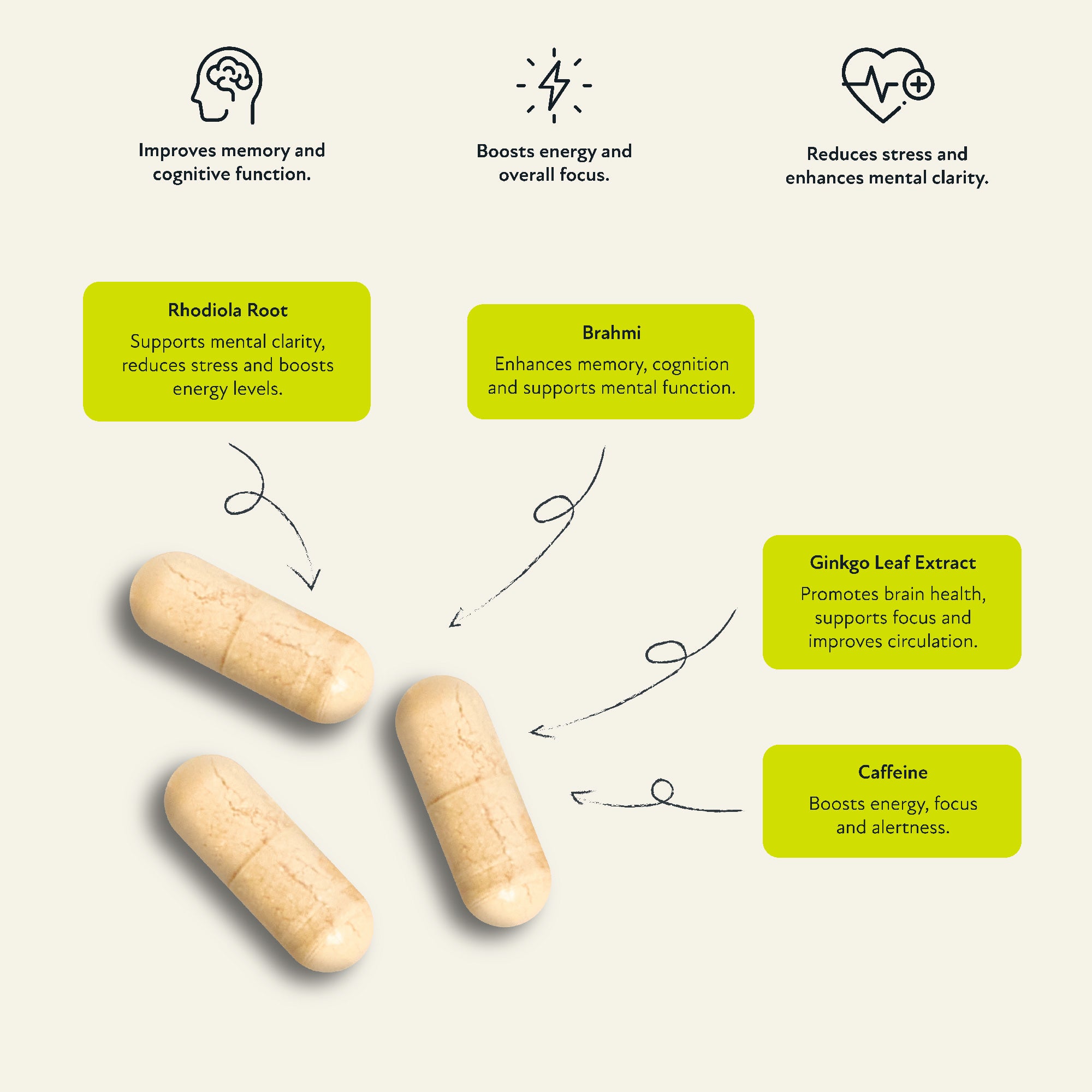Supplement facts label for Focus Rhodiola and Bacopa by The Vitamins Co