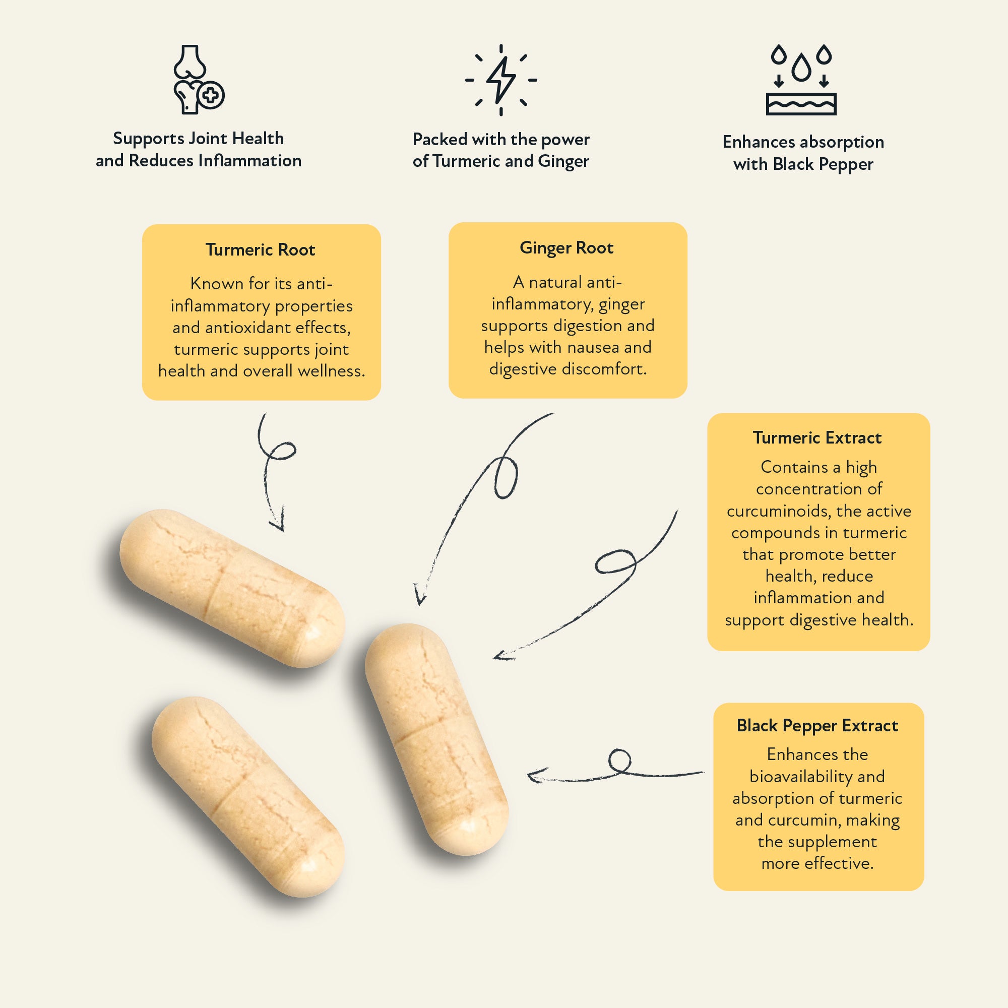 Supplement facts label for Trio – Turmeric + Curcuma supplement by The Vitamins Co